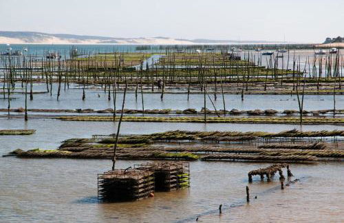 Maison Bassin d'Arcachon - Arès - Proche plage et commerces, 3 chambres, 8 personnes, Climatisation - Foto 18