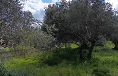 Thyme Aroma - Quiet Nature Patio - Foto 20