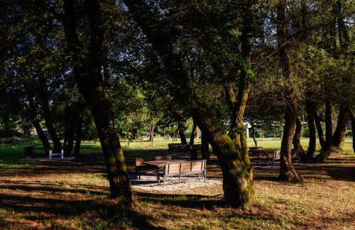 Kozline Kordun - Foto 29