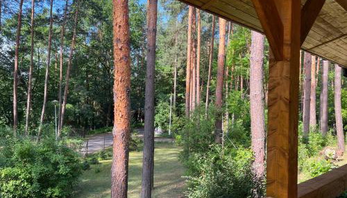 Leśna Oaza Radawa - Foto 5