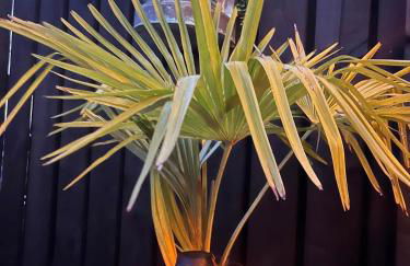 The Carriage at Creagan - Foto 30