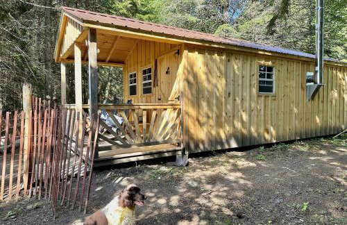 Cozy Off-Grid Cabin with Breathtaking Serene Views for a Peaceful Getaway Surrounded by Nature in Barton, Vermont - Foto 25