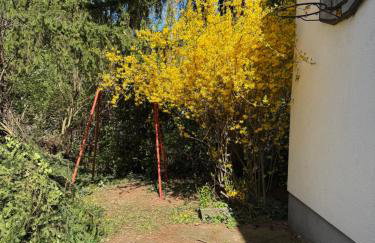 Greenhouse - Foto 28