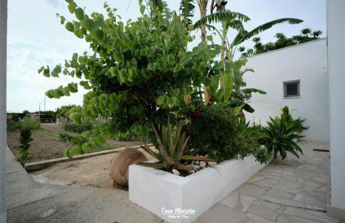 Casa Marieta A - Ideal per a families - Foto 25
