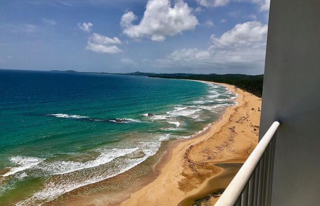 Ocean View Gorgeous 1 Bedroom Apt - Photo 62