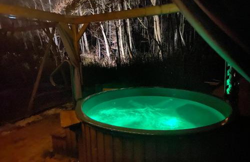 Wilga Leśne SPA - Foto 61