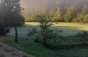 Villa Andjelija - Foto 29