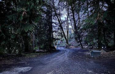 Enchanted Hollow- Cozy, Romantic Woodland Getaway - Foto 65