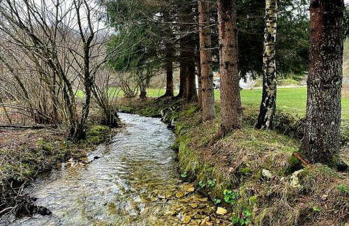 Villa Andjelija - Foto 32