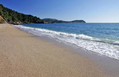 Magnifique petit cocon bord de mer - Foto 29