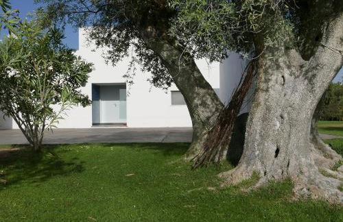 Casa do Vale da Terra Negra - Foto 1