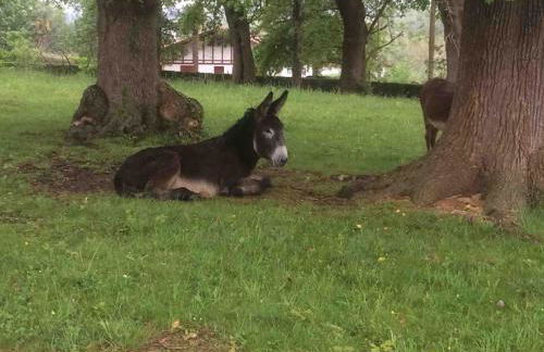 GITE URSUYA 3 étoiles de plain-pied idéalement situé - Foto 51