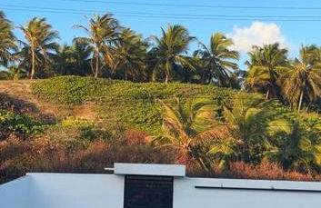 Caju Verde - Barra do Cunhau - Photo 34