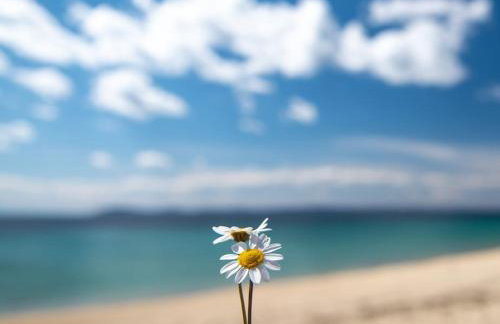 Traditionelles Appartement ATHOS SHADOW 2 am Meer - Foto 29