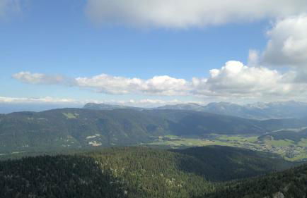 Le Chevreuil - Foto 27