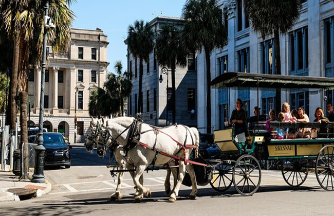 Savannah Historic Downtown Donuts and Sweet Treats Tour - Foto 4