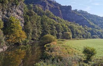 Ferienwohnung Münch - Foto 20