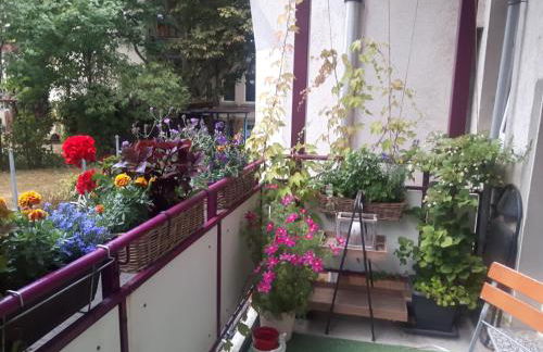 Mitten in Leipzig Wohnung 2 - Foto 15