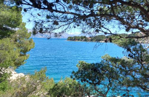 Kuća za odmor Skalina - Sea view - Photo 36