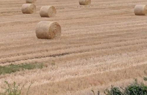 Malton 2-Bed Lodge Sleeps 4 Pet Friendly - Foto 44