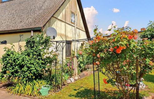 Ferienhaus Reetzowusedom - Foto 10