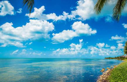 Atlantic Paradise by Avantstay Great Location w/ Balcony, Outdoor Dining & Shared Pool & Hot Tub! - Photo 50