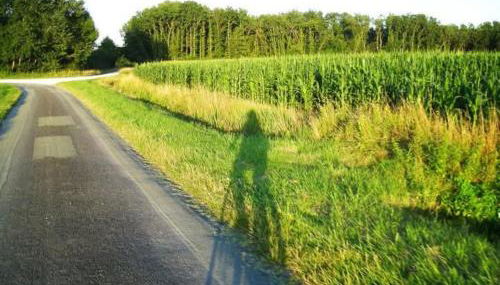Studio au coeur de la vallée de la Loire - Foto 5