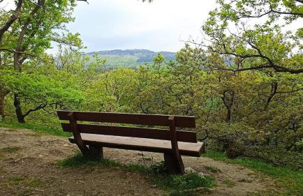 Großzügiges Architektenhaus in Kronberg - Foto 26