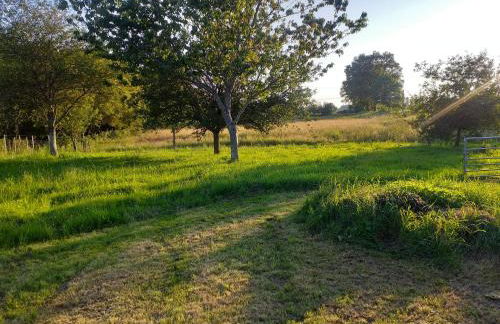 Les Volets Verts, ROUSSINES, CHARENTE, 16310 FRANCE - Foto 66
