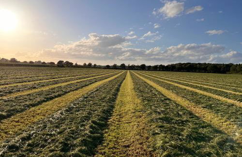 Dinmont Cottage - Photo 42