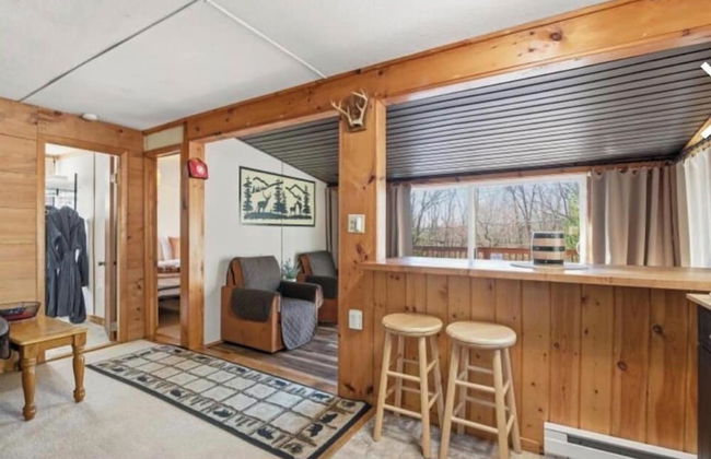 Pocono private retreat - Foto 14