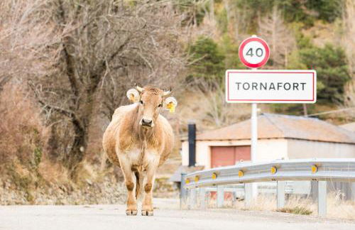 Casa Rural Baró - Foto 23