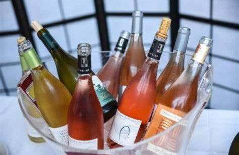 Grande maison en pierre au coeur du village provençal du XIe siecle 10 personnes - Foto 40