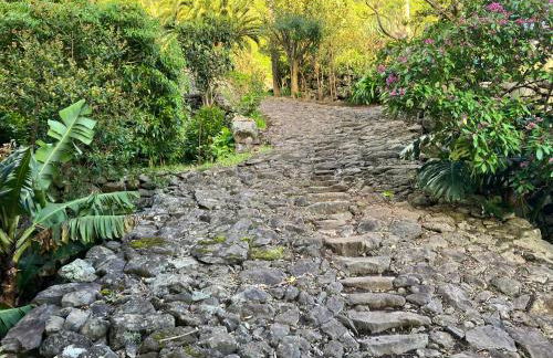 Vistalinda Farmhouse - Foto 6