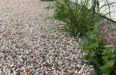 Białe Żagle Mazury - Foto 31