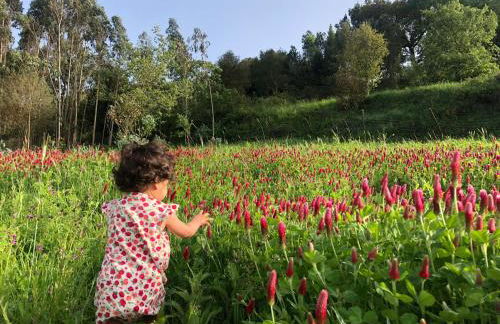 Quinta da Casa Azul - Foto 1