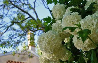 Domus Cariana - Foto 40