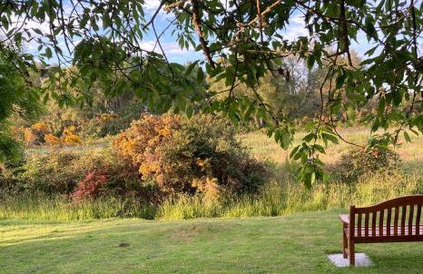 Clashmore Wood - Foto 22