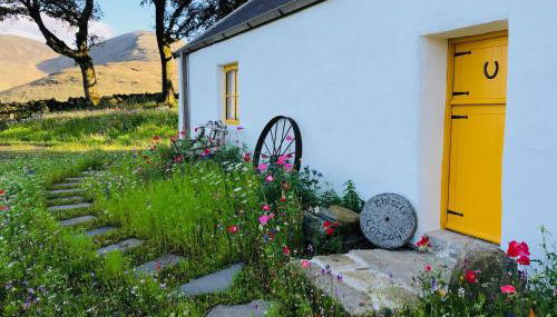 Thistle Thatch Cottage and Hot Tub - Mourne Mountains - Foto 4, Garden view