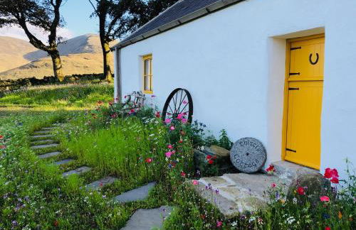 Thistle Thatch Cottage and Hot Tub - Mourne Mountains - Foto 4