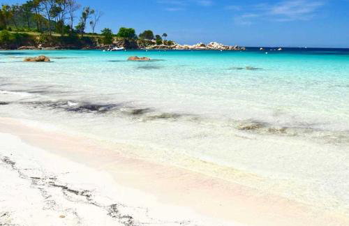 Joli studio maisonnette à 100m de la plage - Foto 13