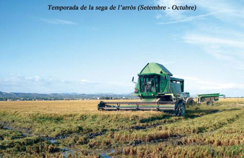 Casa Paxixa - Foto 21