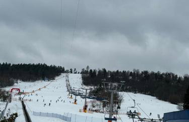 Chata z Kominkiem - Drozdówka Solina- 6-9-2-2-8-1-3-6-3 - Foto 73