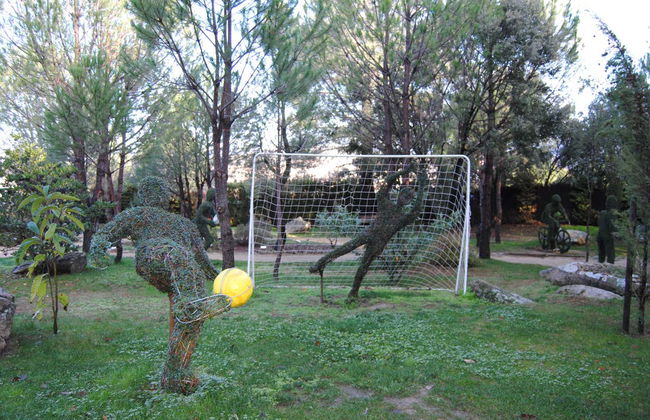 Enchanted Forest Tickets - Foto 7