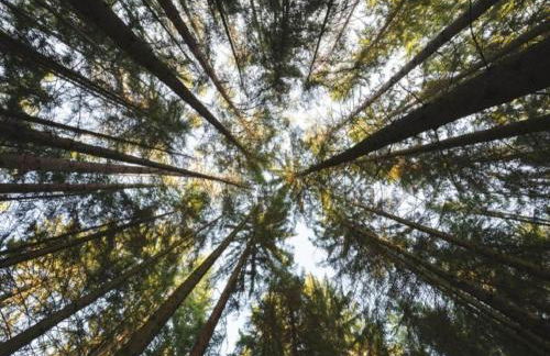 Quiet Couples Apartment - Foto 32