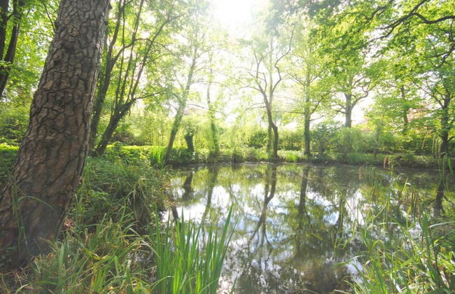Delightful 4BD Home Full of Flair Edenbridge Kent - Foto 23