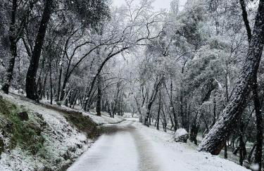 Blissful Acres hilltop cottage - Foto 17