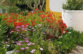 Casa da Palmeira - Foto 41