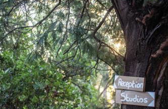 Domaine de Pianiccia - Foto 50