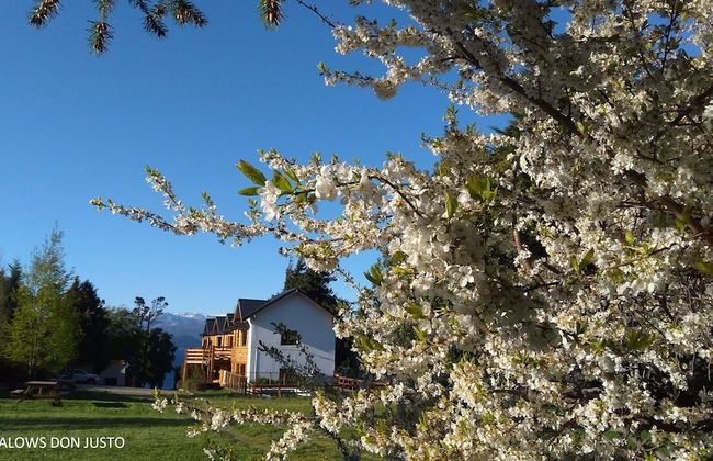 Don Justo - Photo 32